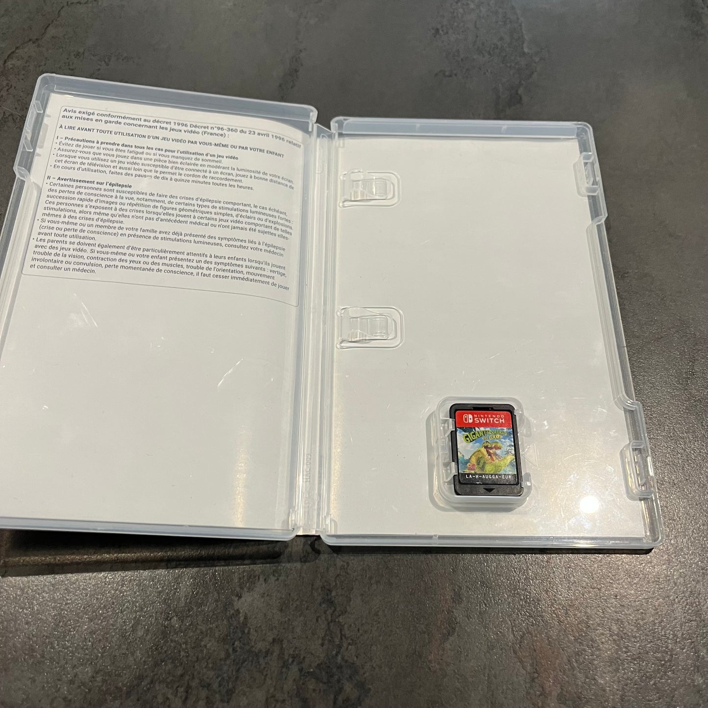 Gigantosaurus Le Jeu Switch