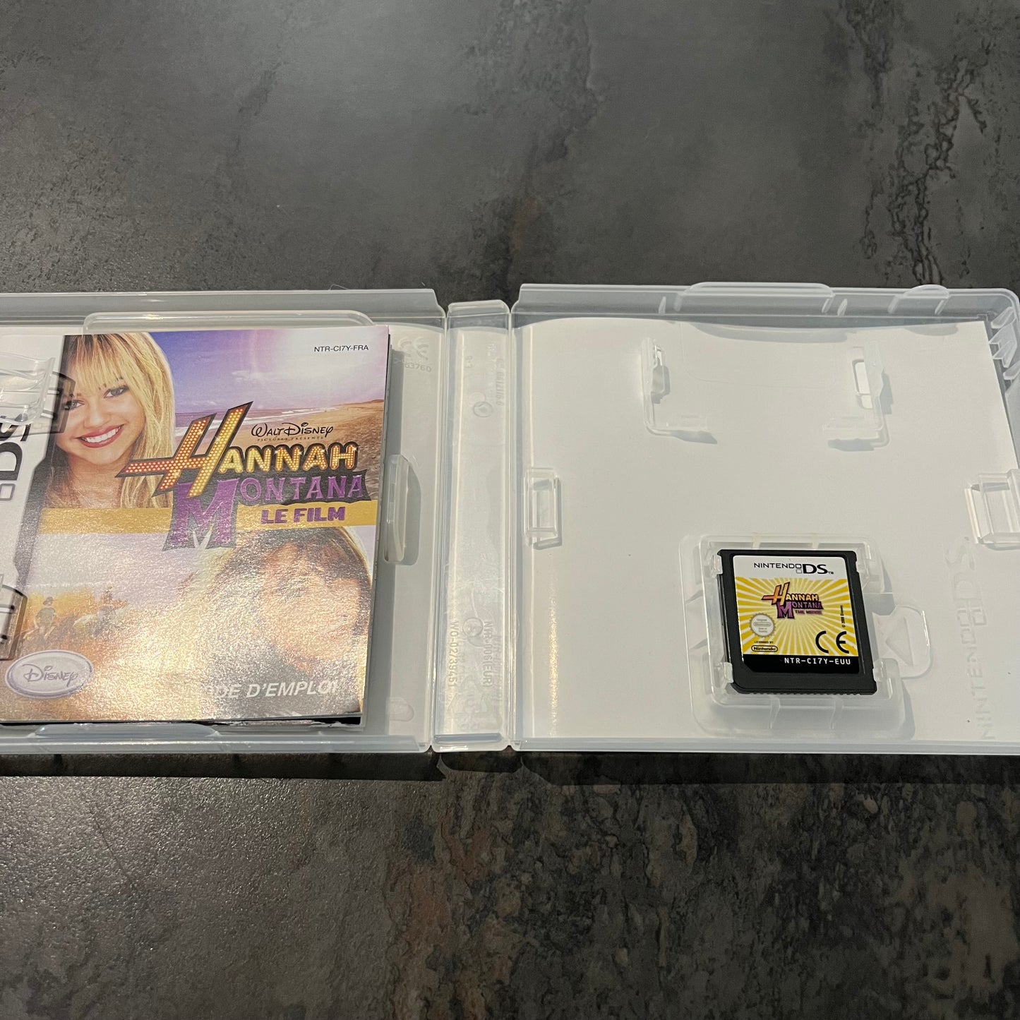 Hannah Montana Le Film ds