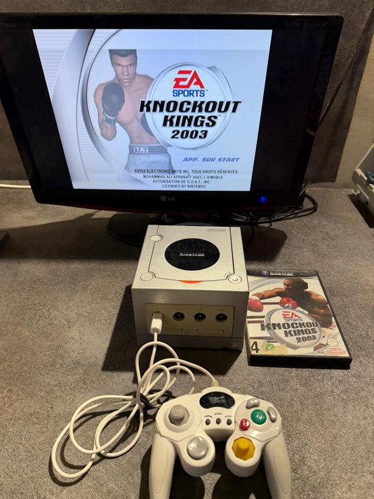 Console GameCube grise