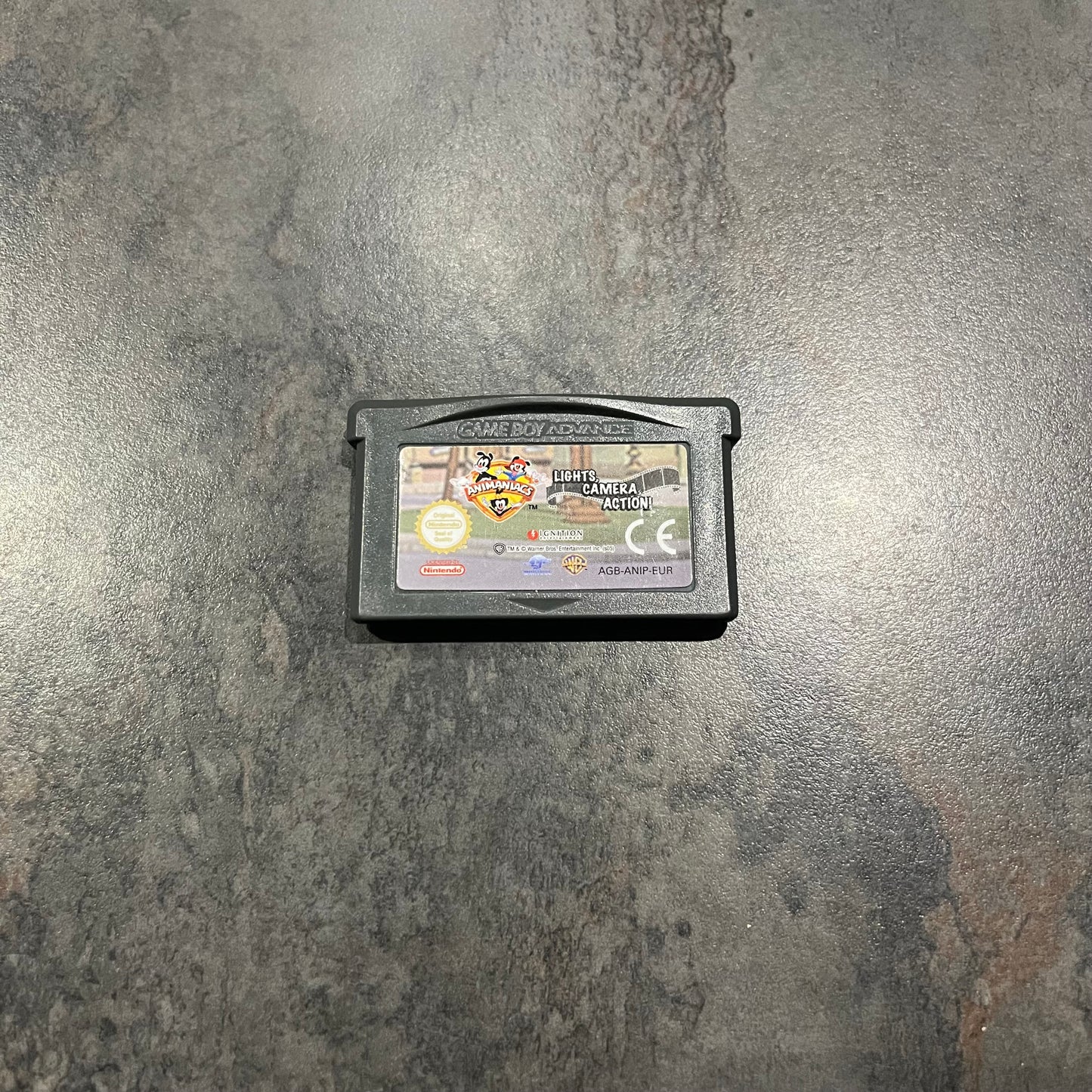 Animaniacs Lights Camera Action Advance