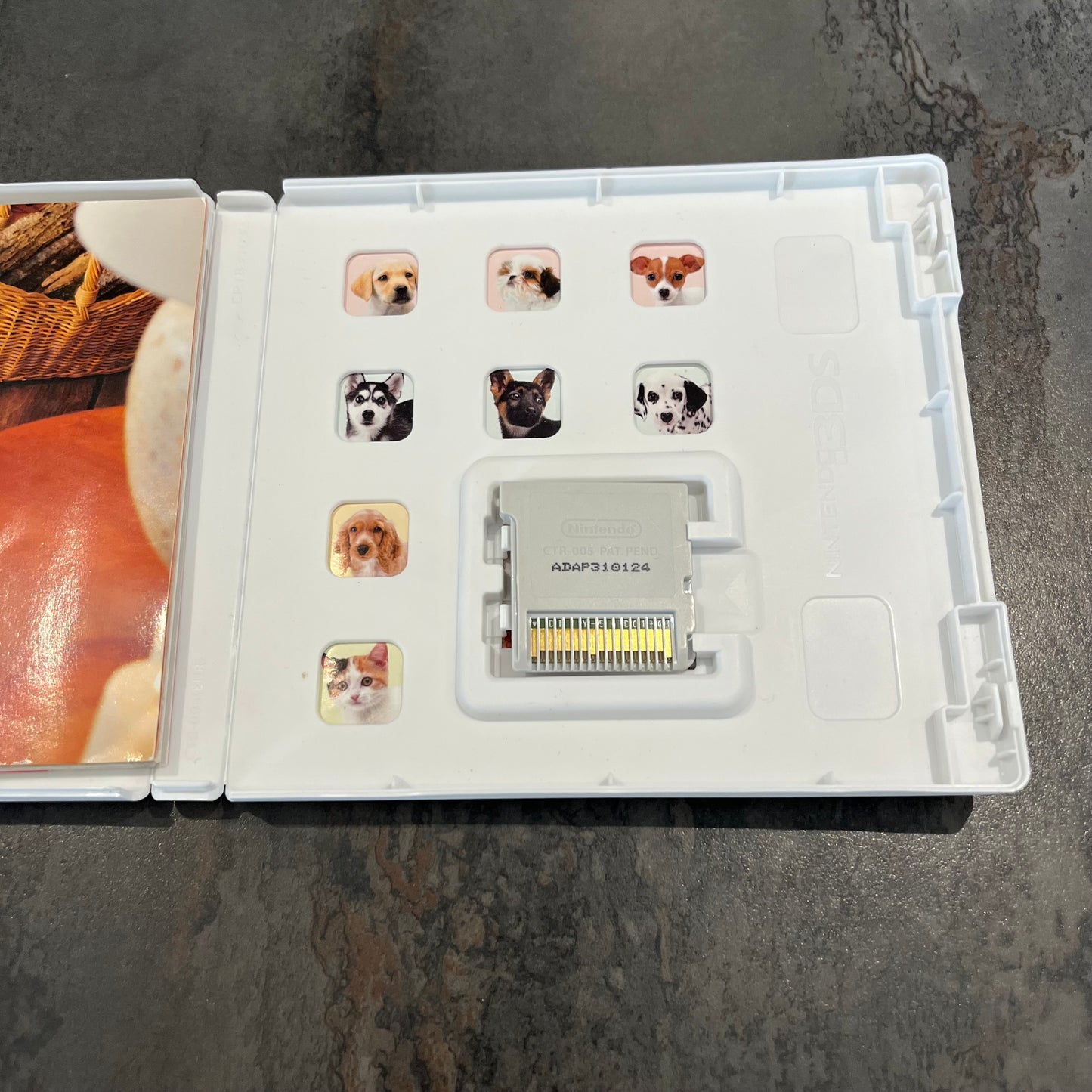 Nintendogs + Cats 3DS