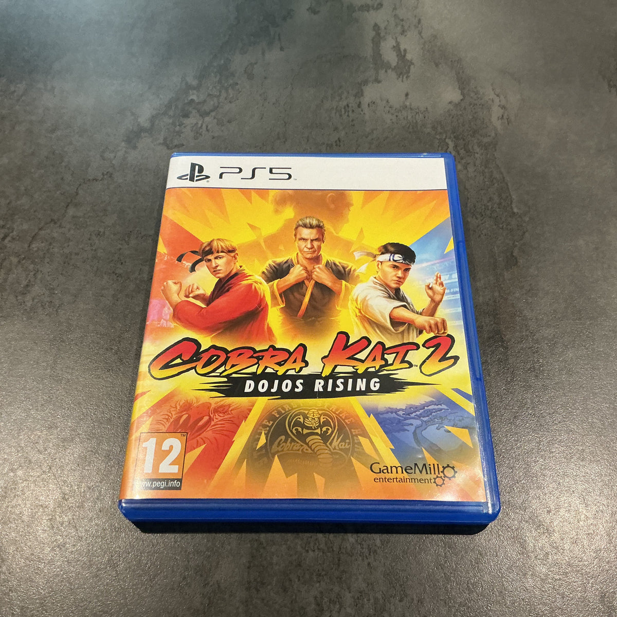 Cobra Kai 2: Dojos Rising PS5