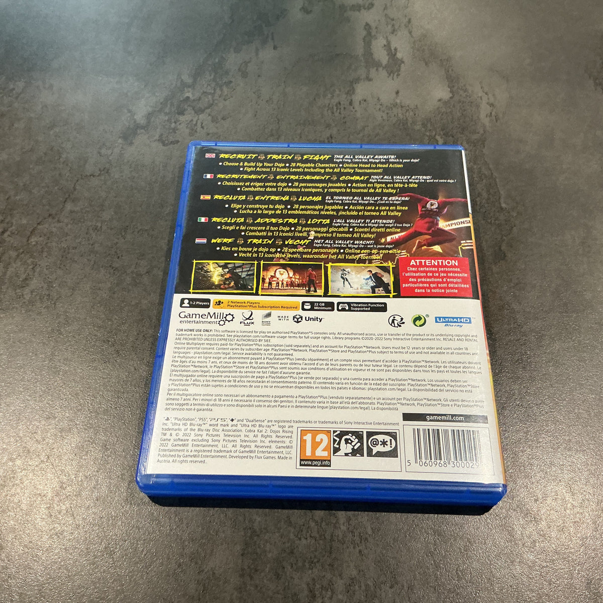 Cobra Kai 2: Dojos Rising PS5